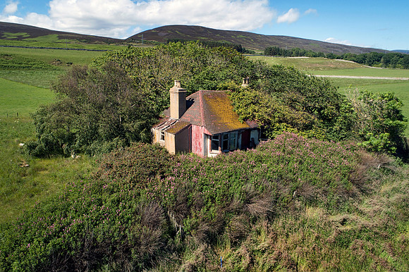 190627 Megan's Cottage 001