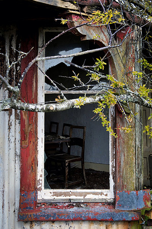 190415 Megan's Cottage 040