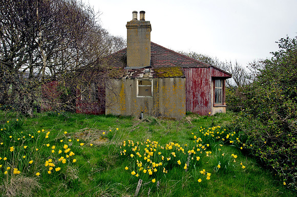 190415 Megan's Cottage 001