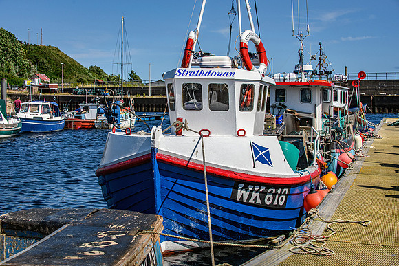 210716 Helmsdale Harbour 073
