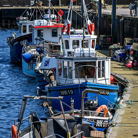 210716 Helmsdale Harbour 067