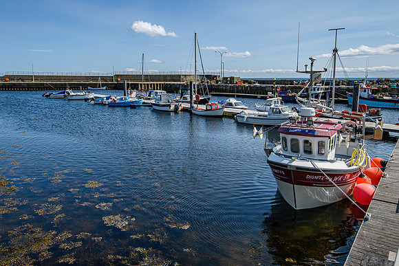 210716 Helmsdale Harbour 047