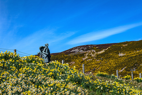 210424 Helmsdale 032