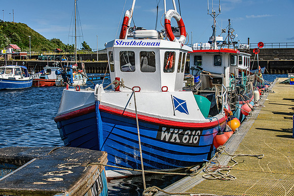 210716 Helmsdale Harbour 072
