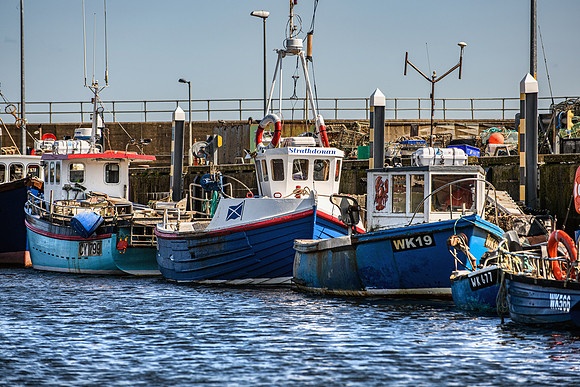 210716 Helmsdale Harbour 086