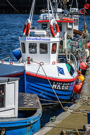 210716 Helmsdale Harbour 069