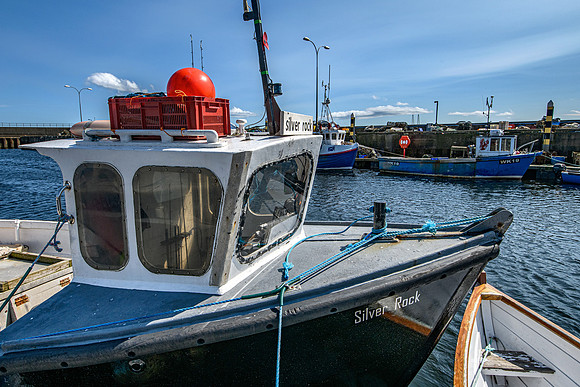 210716 Helmsdale Harbour 049