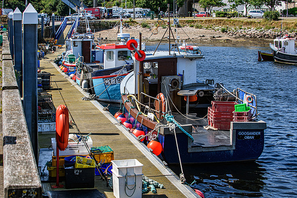 210716 Helmsdale Harbour 075