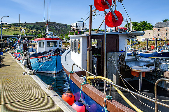 210716 Helmsdale Harbour 036
