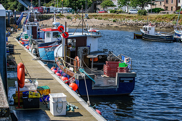 210716 Helmsdale Harbour 074