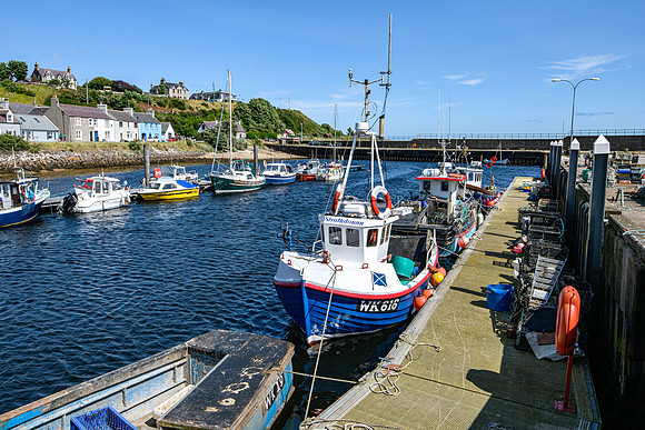 210716 Helmsdale Harbour 010