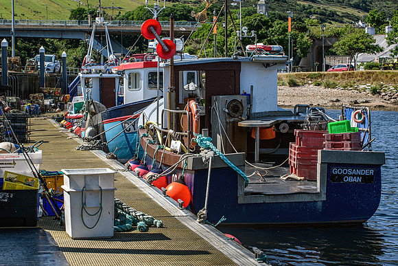 210716 Helmsdale Harbour 077