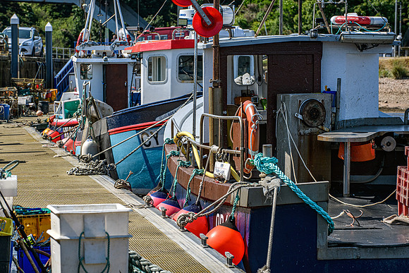 210716 Helmsdale Harbour 076