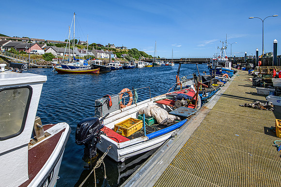 210716 Helmsdale Harbour 023