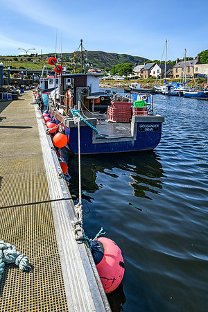 210716 Helmsdale Harbour 035