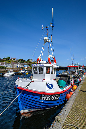 210716 Helmsdale Harbour 031