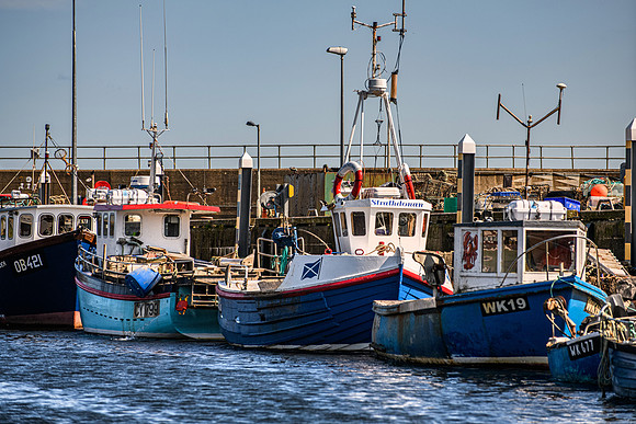 210716 Helmsdale Harbour 085