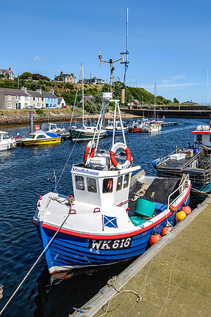 210716 Helmsdale Harbour 019
