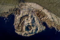 210226 Yarrows 077