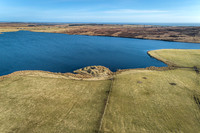 210226 Yarrows 001