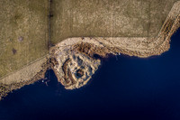 210226 Yarrows 072