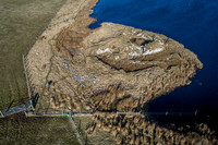 210226 Yarrows 087
