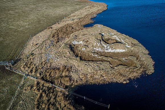 210226 Yarrows 088