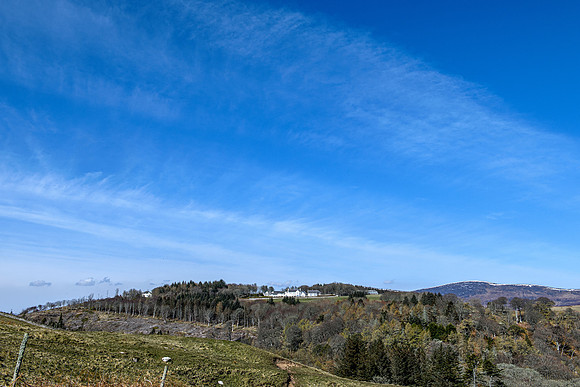 210416 Berriedale 008