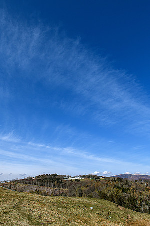 210416 Berriedale 032