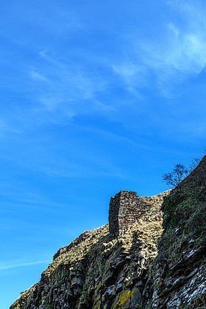 210416 Berriedale 071