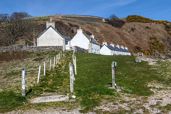 210416 Berriedale 080