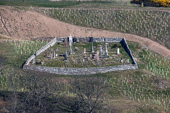 220327 Berriedale 003