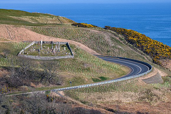 220327 Berriedale 005