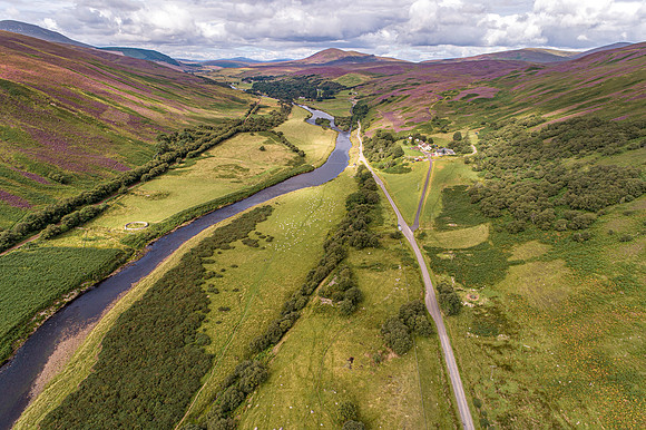 240820 Torrish 040