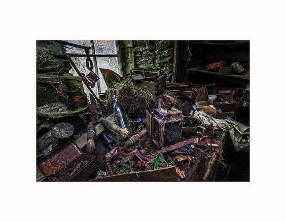_DSC1401