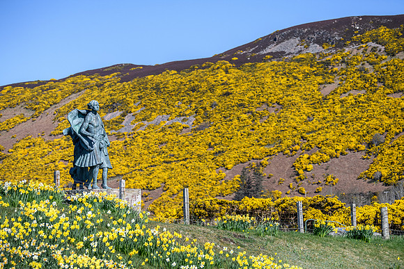 250407 Helmsdale 059