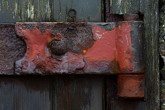 200229 Dunbeath Harbour-7
