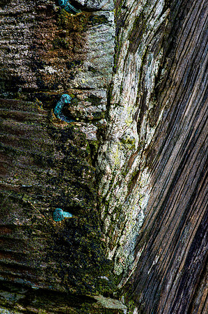 200229 Dunbeath Harbour-53