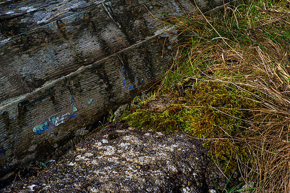 200229 Dunbeath Harbour-60
