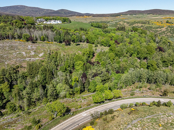 250520 Berriedale (1)
