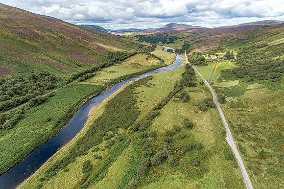 240820 Torrish 045