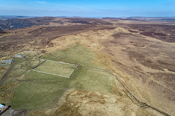 210417 Upper Borgue 080