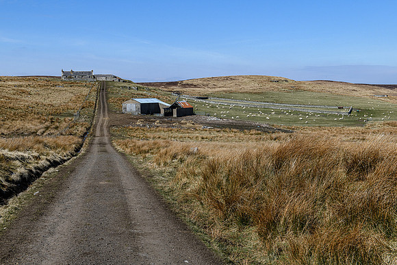 210417 Upper Borgue 005
