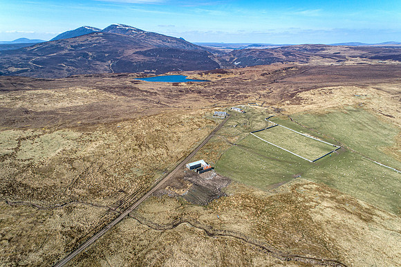 210417 Upper Borgue 072