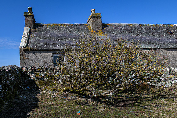 210417 Upper Borgue 010
