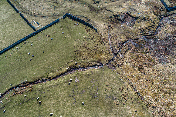 210417 Upper Borgue 180
