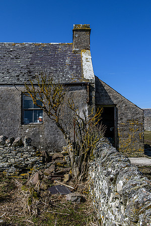 210417 Upper Borgue 036