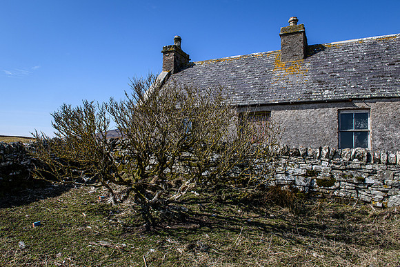 210417 Upper Borgue 028