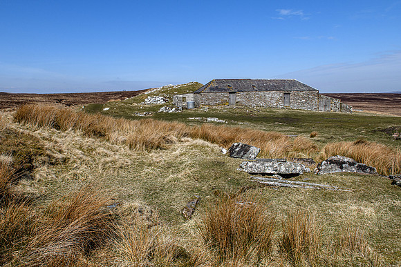 210417 Upper Borgue 019