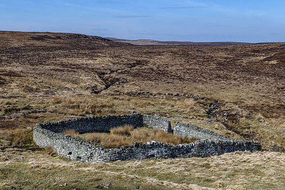 210417 Upper Borgue 055